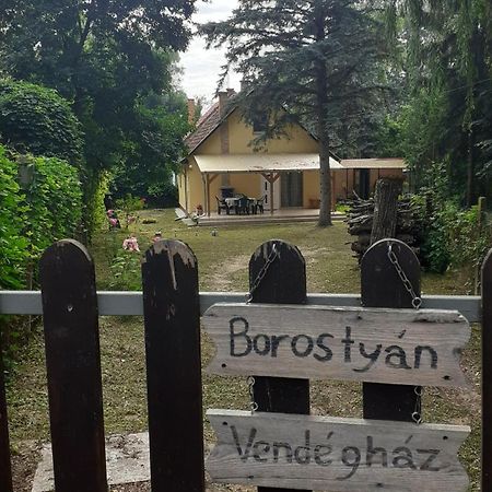 Borostyan Vendeghaz Daire Tiszaug Dış mekan fotoğraf