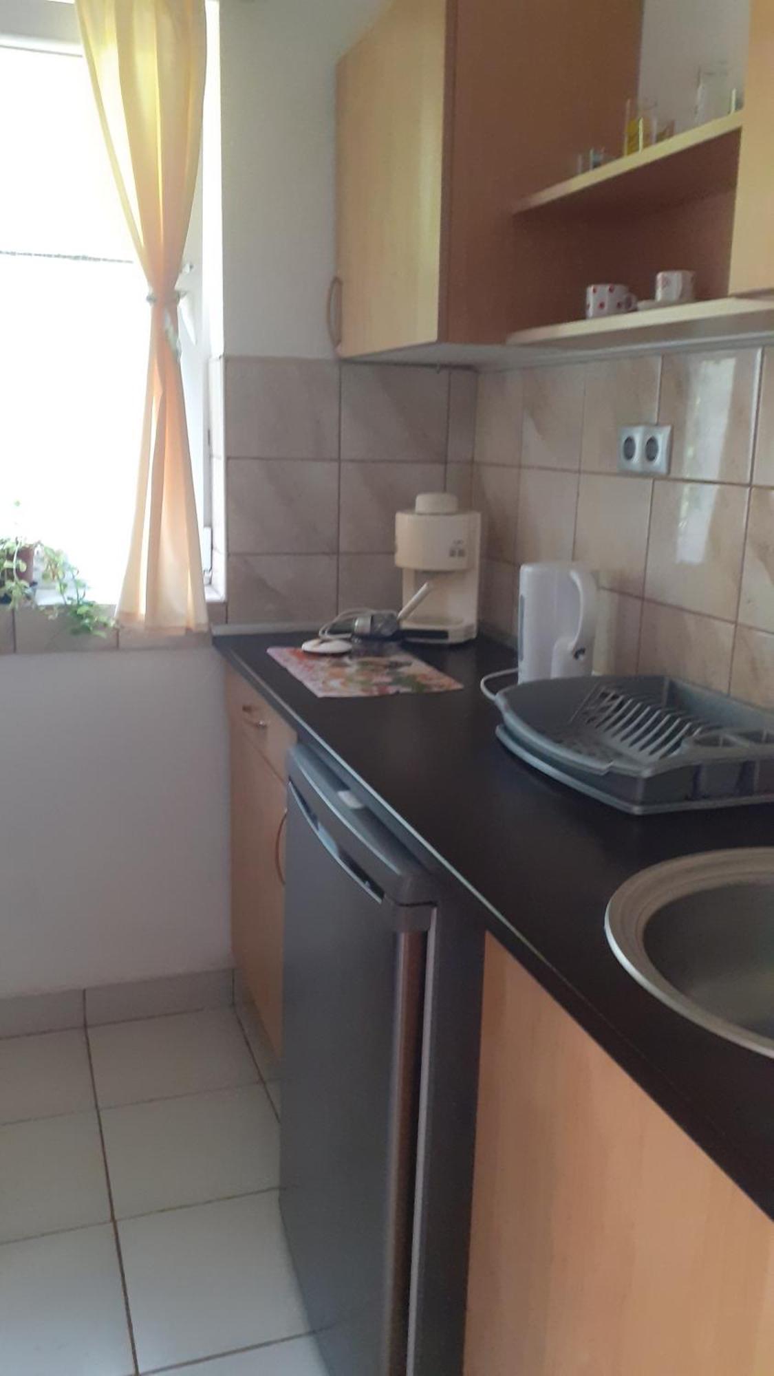 Borostyan Vendeghaz Daire Tiszaug Dış mekan fotoğraf