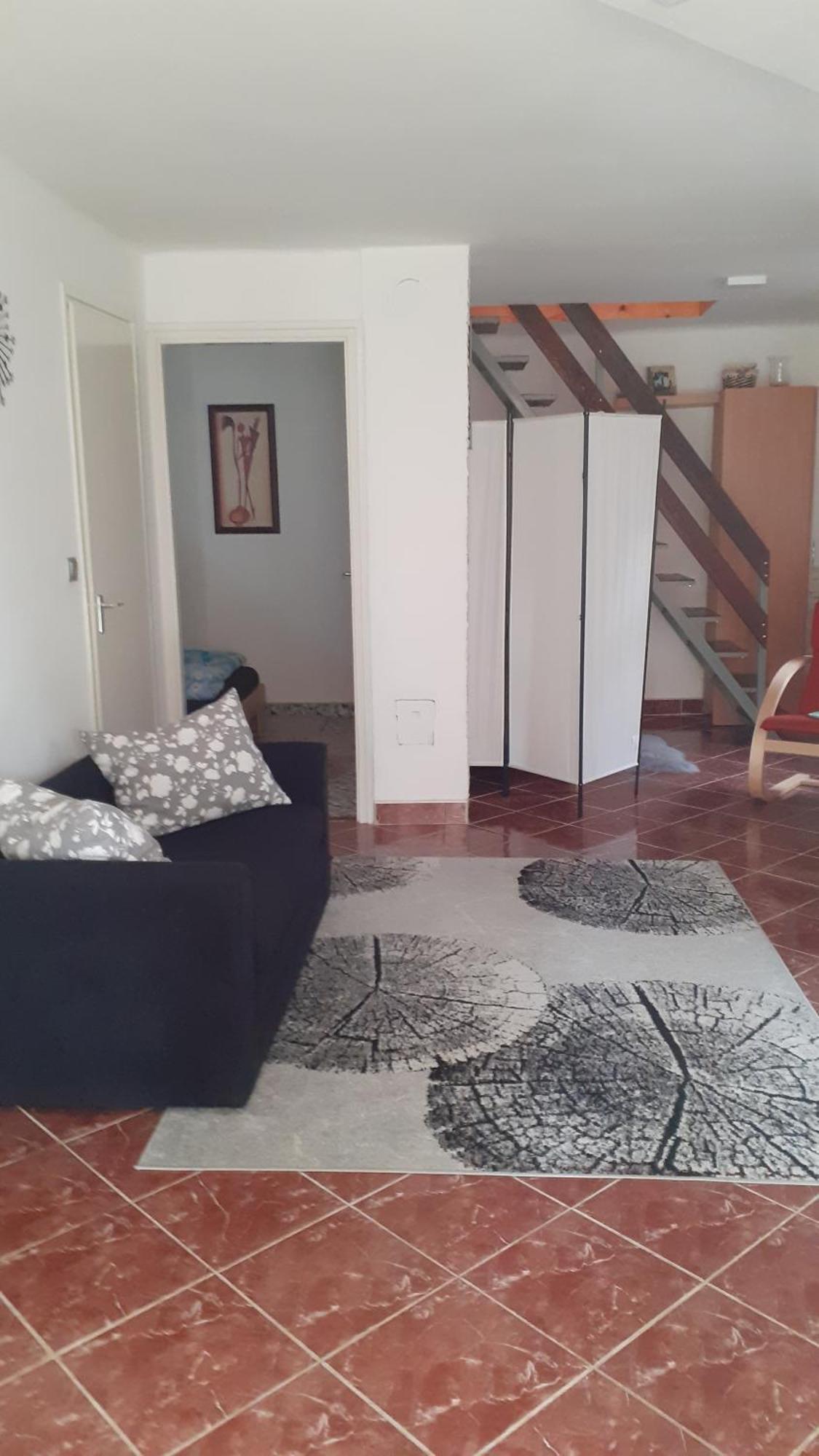 Borostyan Vendeghaz Daire Tiszaug Dış mekan fotoğraf