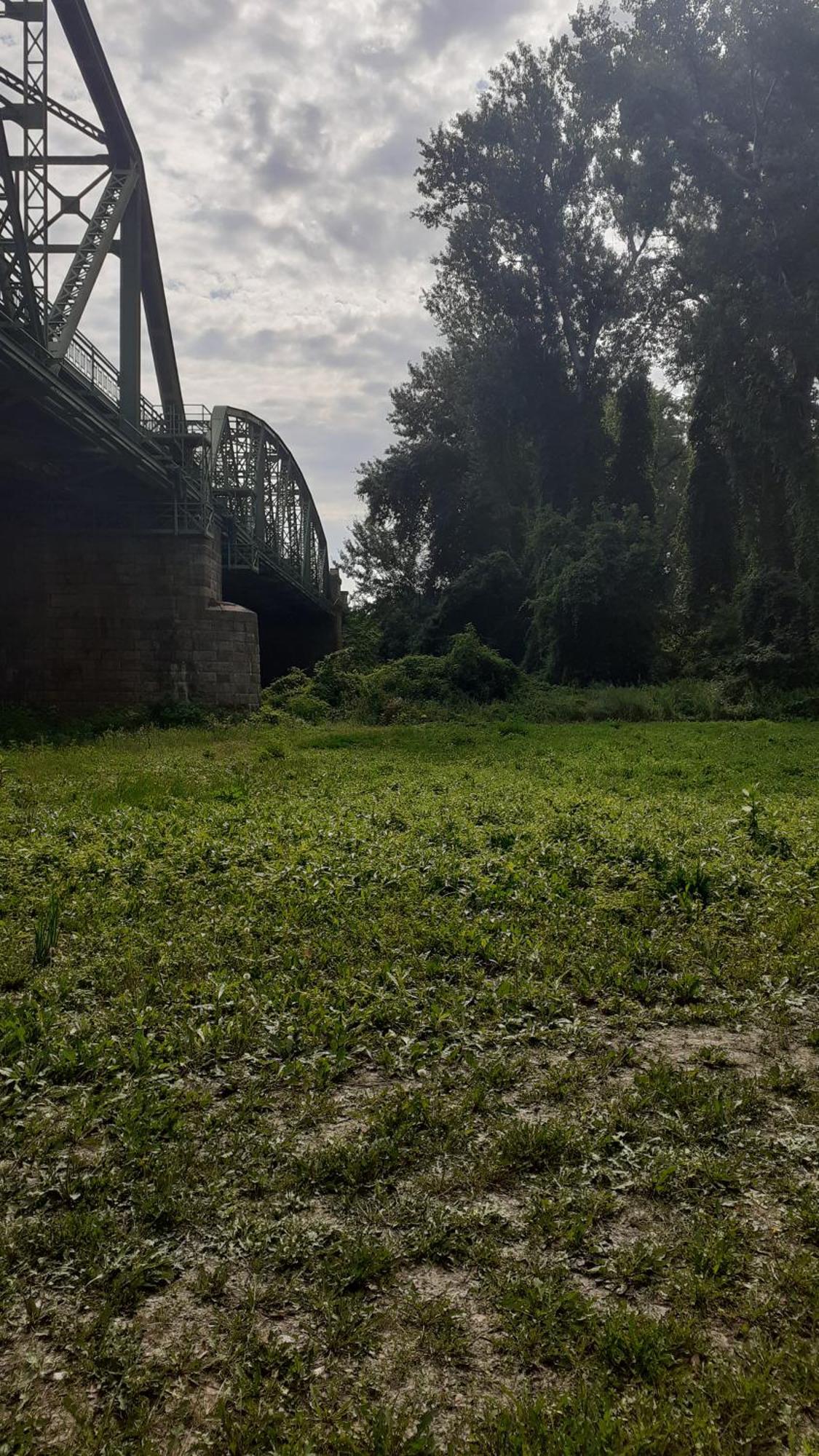Borostyan Vendeghaz Daire Tiszaug Dış mekan fotoğraf