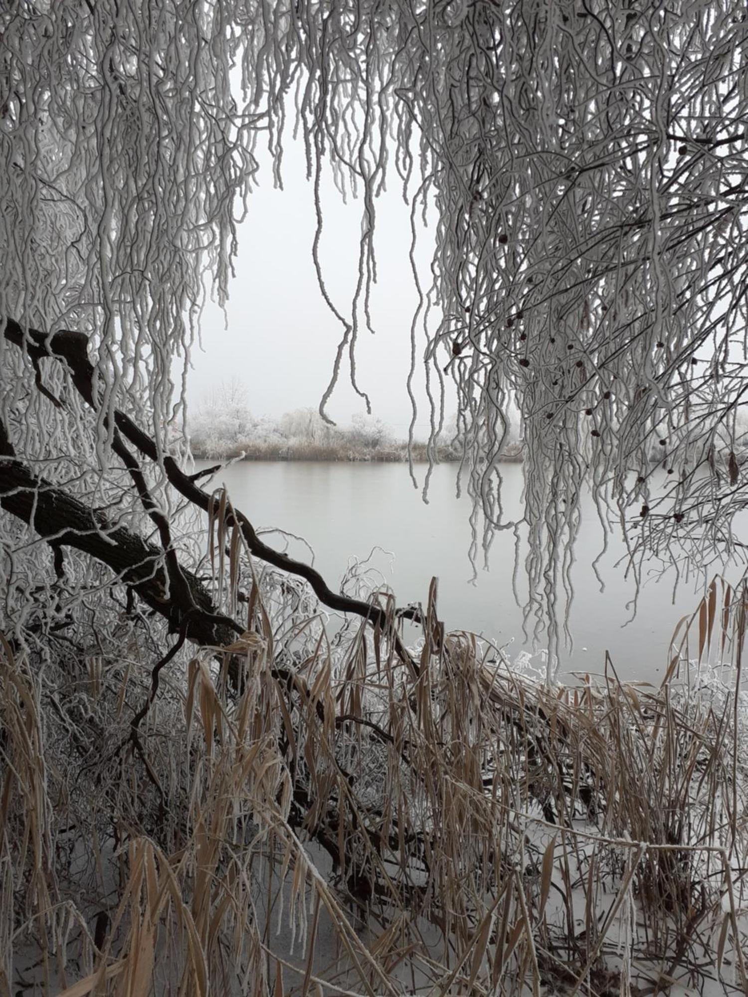 Borostyan Vendeghaz Daire Tiszaug Dış mekan fotoğraf